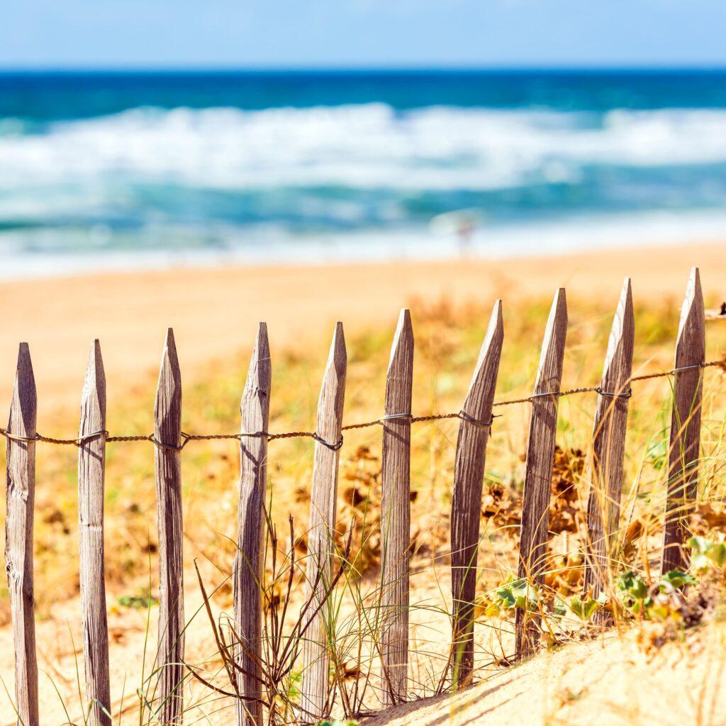 barrières en bois sur la plage